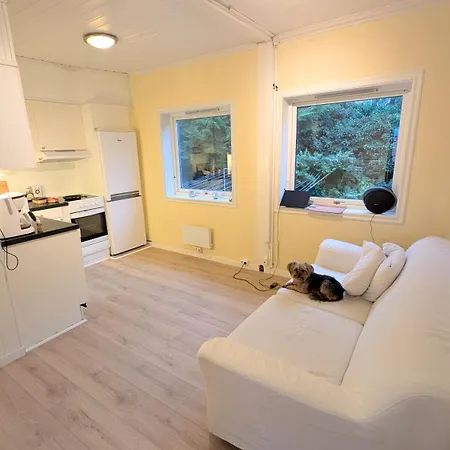 2 Bedroom * Μπέργκεν